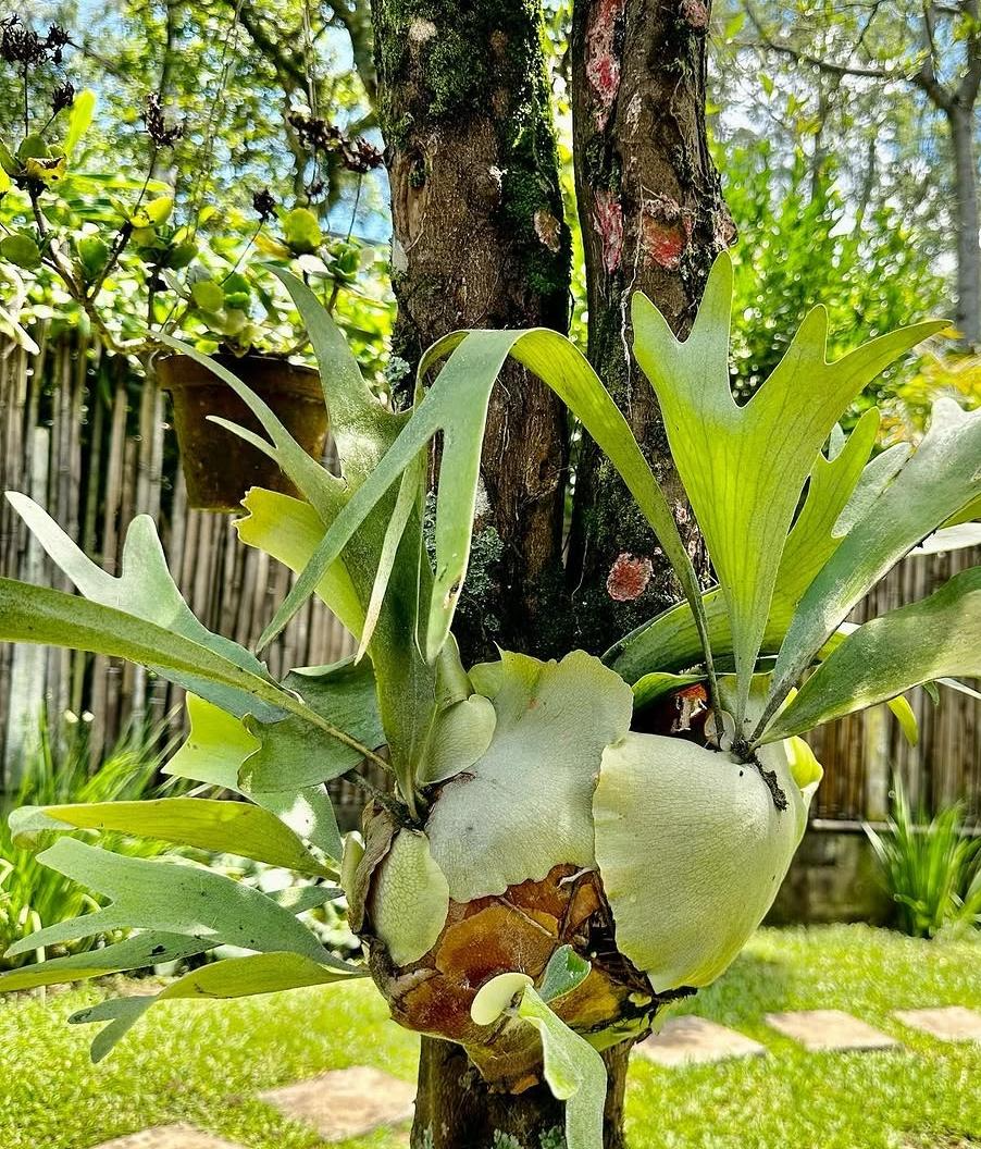 Arranjo floral verde — formas orgânicas que inspiram joias